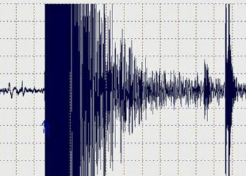 sismografo-terremoto allerta tsunami