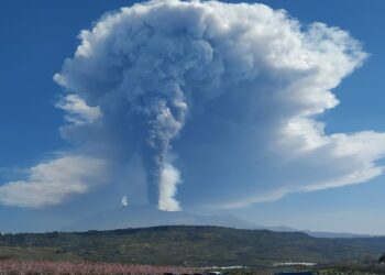 Credits: Alain Risuglia