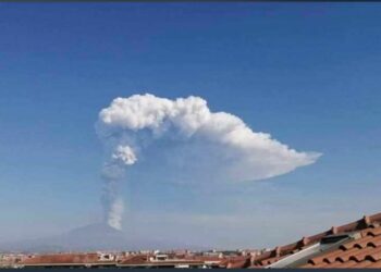 Credits: pagina Facebook Carabinieri