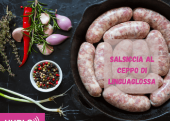 salsiccia al ceppo