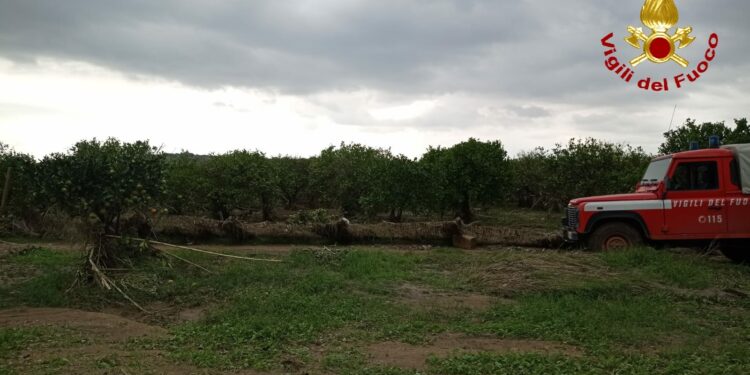 trovato il corpo della donna - urlo