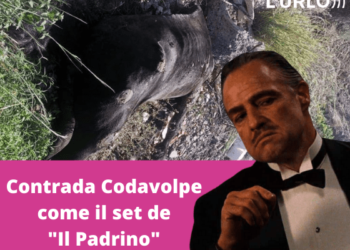 Il Padrino