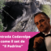 Il Padrino