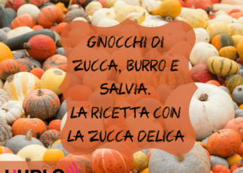 zucca