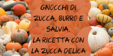 zucca