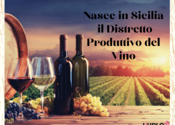 L'urlo - Nasce in Sicilia il Distretto Produttivo del Vino