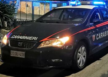 lurlo trecastagni lite