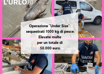 pesce sequestrato