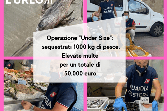 pesce sequestrato