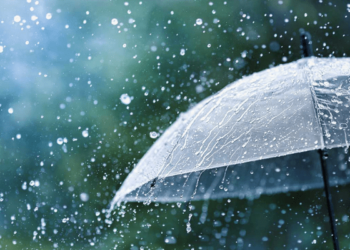 protezione civile - urlo (1)