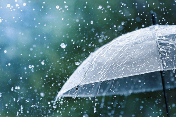 protezione civile - urlo (1)