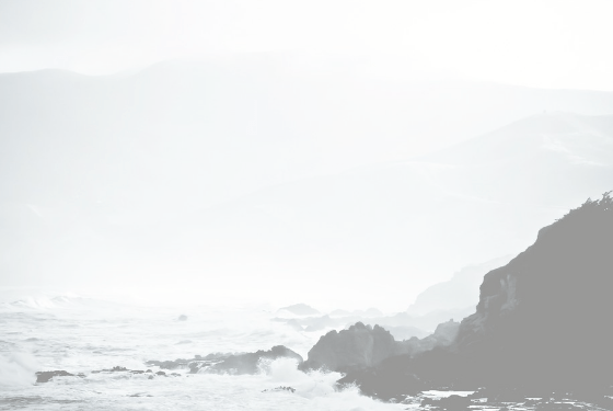 Incidente o omicidio È giallo sulla morte di Aldo Pizzorno - urlo