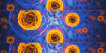 nuova variante covid - urlo