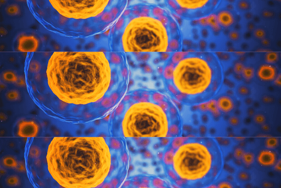 nuova variante covid - urlo