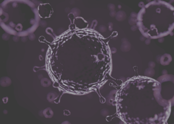 quarta ondata - urlo