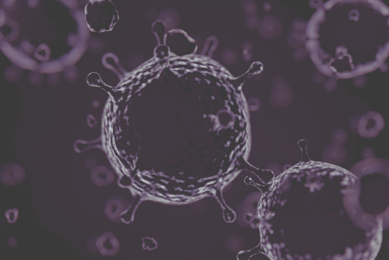 quarta ondata - urlo