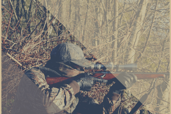 stagione caccia sicilia - urlo (2)