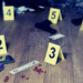 Trovato un cadavere in un casolare - urlo