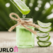 aloe
