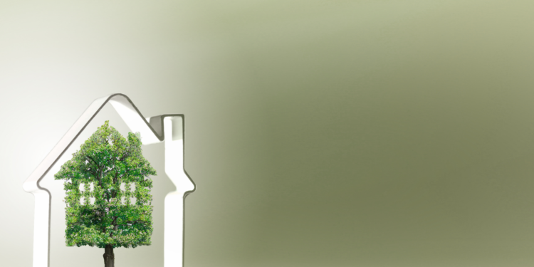 Casa green: le caratteristiche di un’abitazione a impatto zero