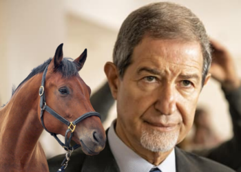 Ambelia e la richiesta di Musumeci: “Bus gratuiti per la Fiera del Cavallo”