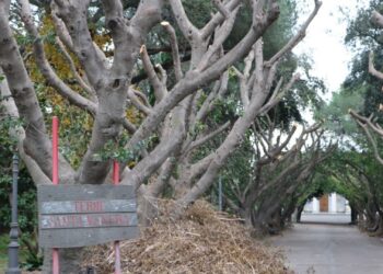 Riapre, per soli due giorni, il parco delle terme di Acireale