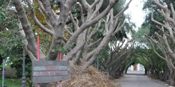 Riapre, per soli due giorni, il parco delle terme di Acireale