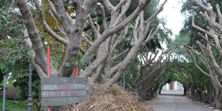 Riapre, per soli due giorni, il parco delle terme di Acireale