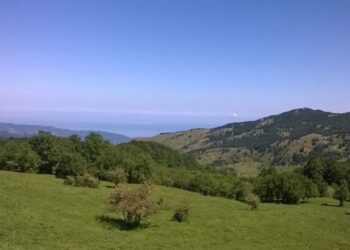 Agricoltura: 33 milioni ai Gal siciliani