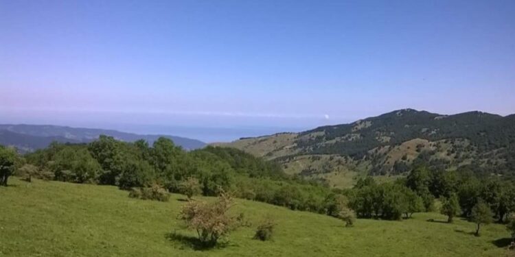 Agricoltura: 33 milioni ai Gal siciliani