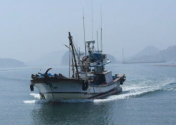 Divieto di imbarco: tra gli argomenti della I°Assemblea di Agripesca Sicilia