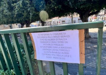 Catania: cartelli di protesta in piazza Bonadies