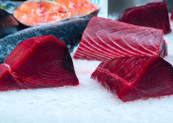 Codacons: pesca illegale del tonno rosso nel Mediterraneo