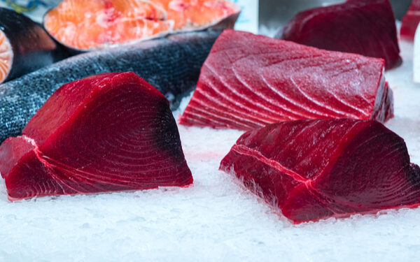 Codacons: pesca illegale del tonno rosso nel Mediterraneo