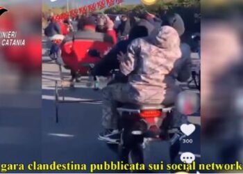 Corse clandestine di cavalli. Due denunciati nel catanese