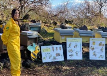 bee@school: la tutela delle api nere sicule anche a Catania