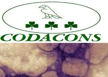 Codacons: controlli su cittadini che arrivano da Inghilterra, Portogallo, Spagna, Svezia e Usa