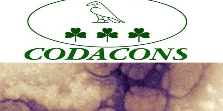 Codacons: controlli su cittadini che arrivano da Inghilterra, Portogallo, Spagna, Svezia e Usa