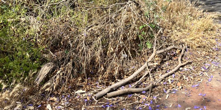 Catania: i residenti del villaggio Dusmet chiedono di ritornare alla civiltà
