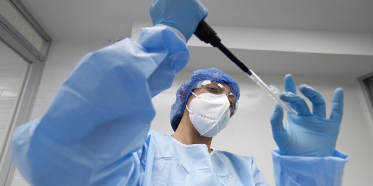 Vaiolo delle scimmie: vaccino per contatti a rischio e sanitari