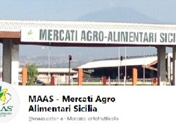 Arrestato 31enne catanese per tentato furto di un camion