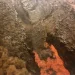 Zafferana Etnea ricorda i 30 anni dall’eruzione dell’Etna che minacciò la città negli anni ‘90