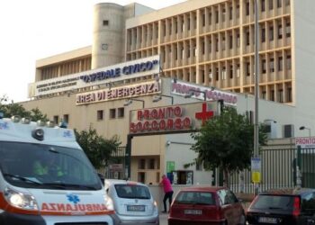 A Palermo il primo caso di vaiolo delle scimmie