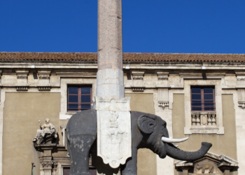 calcio catania.politica