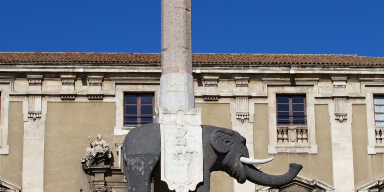 calcio catania.politica
