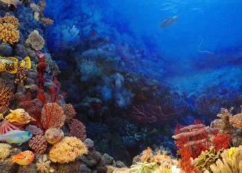 Microplastiche nei fondali marini: lo studio condotto a Catania