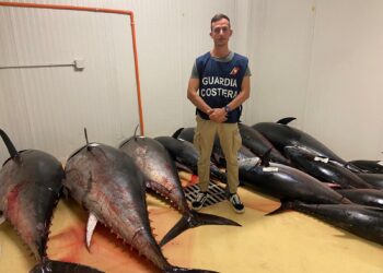 Catania: sequestrati 13 tonni rossi