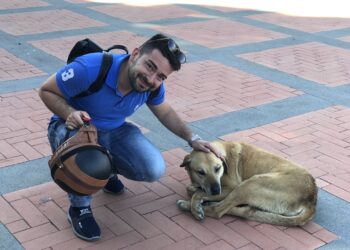 Chi adotterà un cane randagio beneficerà di una riduzione del 30% sulla Tari