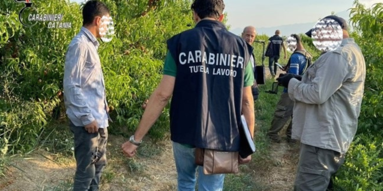 Sfruttava braccianti per 200 euro al mese: sospeso imprenditore agricolo