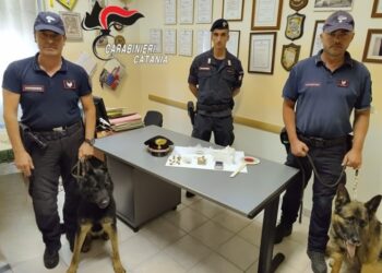 Nascondeva nella sua abitazione 70 grammi di hashish e 20 di marijuana